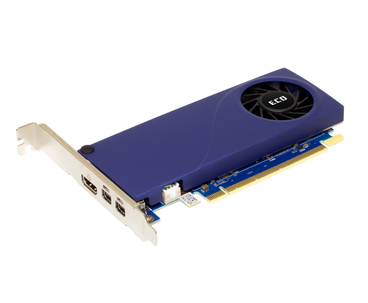 VGA INTEL ARC A310 ECO GDDR6 4 GB LP SPARKLE